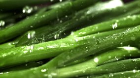Drops of water fall on fresh green onions. Filmed on a high-speed camera at 1000 fps. High quality FullHD footage