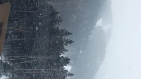 Video through the window of an elevator cabin moving over a snowy winter forest with fir trees, falling snow, moving upward cabins of a ski lift at a sports recreation center