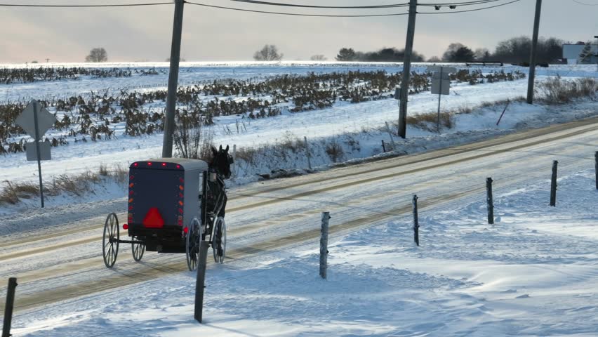 Amish horse and buggy on rural road with snow in winter. Amish country in USA during snow storm.