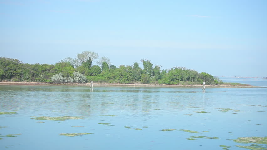 Passing shot of water and trees in Italy.