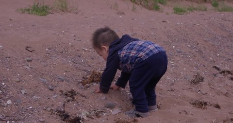 Toddler boy bends down to eat mouthfull of dirt - gross