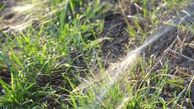 a lot of cobwebs on the street - Powered by Shutterstock - Get 15% off with code: PIKWIZARD15