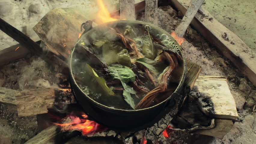 Making Ayawaska in the Ecuadorian Rainforest. The ingredients needed to make ayavasca are boiled in a cauldron on the hearth of the indigenous people of Ecuador. High quality FullHD footage Royalty-Free Stock Footage #3442933889