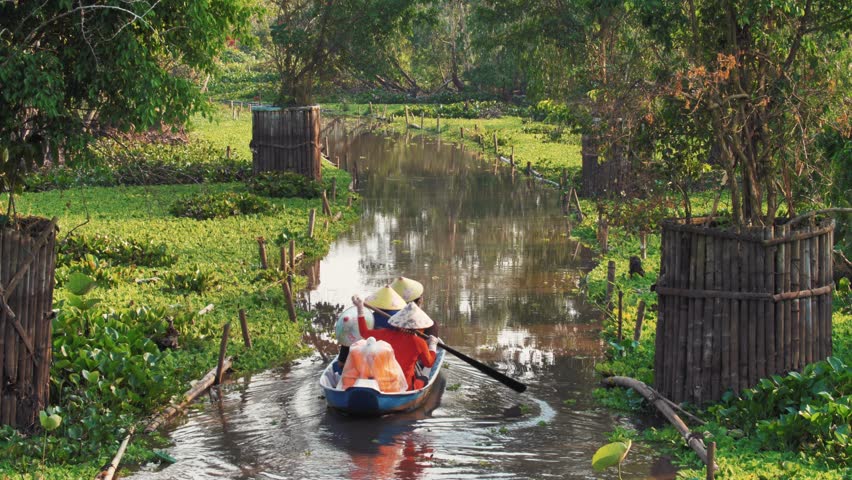 Tranquil Boat Excursion Through the Scenic Tra Su Nature Reserve, Vietnam