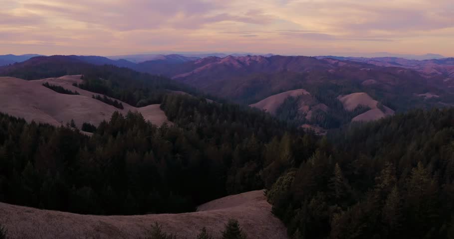 Aerial: Hills and ridge on Mount Tamalpais looking over pine forest and mountain range. Marin, California, USA