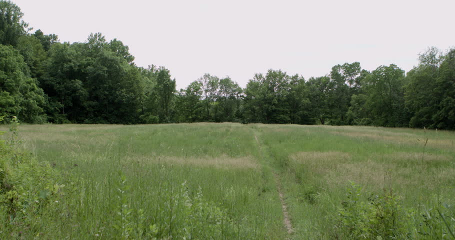 Stewart State Park in Orange County New York