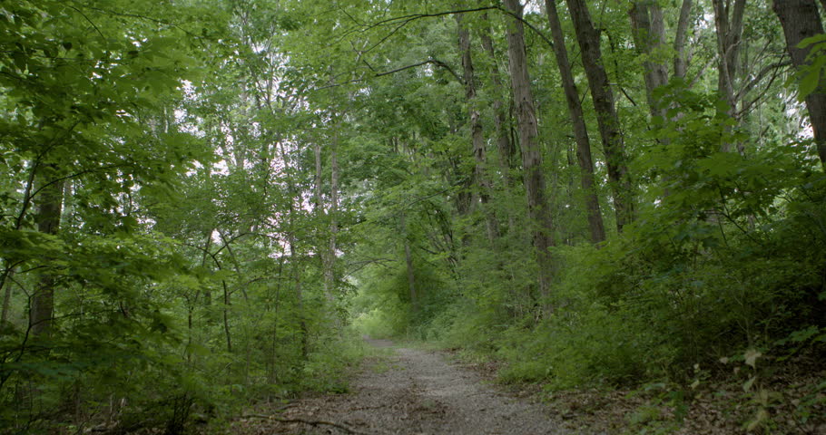 Stewart State Park in Orange County New York. Filming inside a nature preserve.