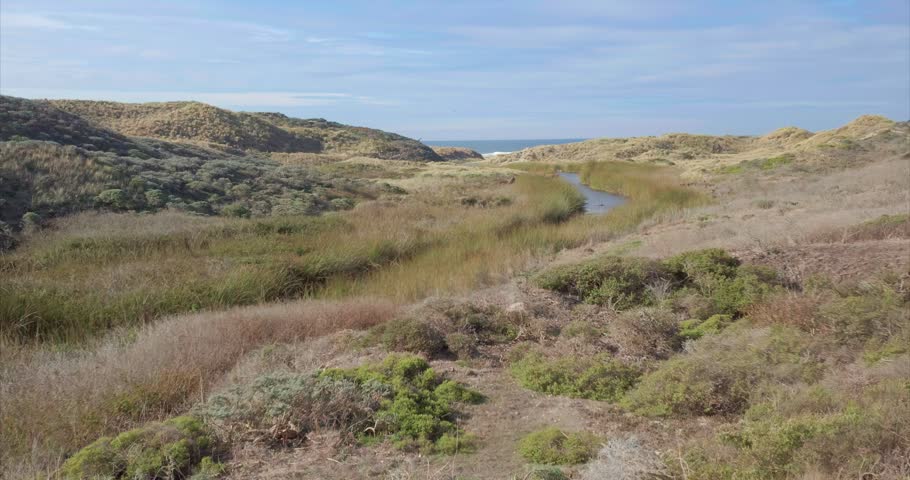 Aerial: Grass wetlands, dunes and beach in point Reyes. San Francisco, California, USA