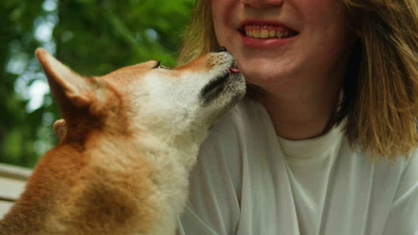 Portrait of pretty woman with shiba inu in the pak. Japan dog with owner. shiba inu, hachiko, japanese dog, puppy in nature, dog true friend