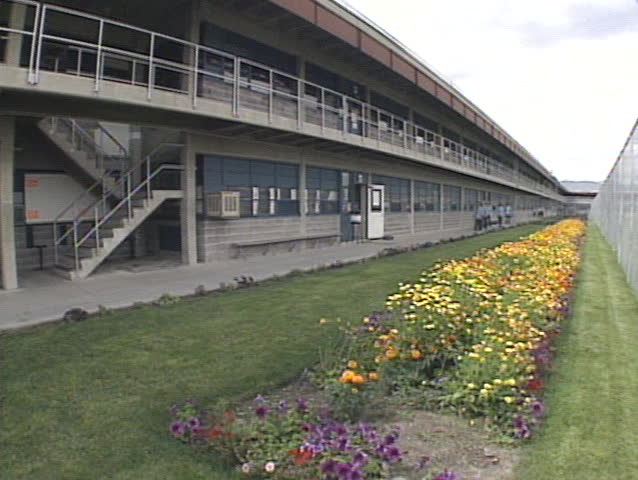 A flower garden inside a prison. 