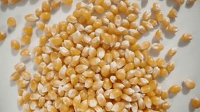 Dry corn kernels for popcorn fall down, top view, in slow motion. - Powered by Shutterstock - Get 15% off with code: PIKWIZARD15