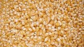 Top view of male hands scooping and pouring back popcorn kernels, slow-motion close-up. - Powered by Shutterstock - Get 15% off with code: PIKWIZARD15