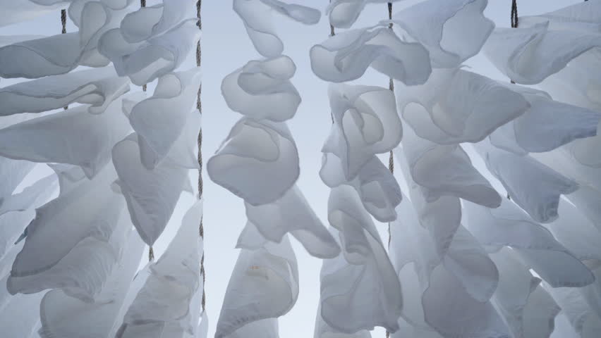 White clothesline in Dhobi Ghat in Mumbai, India