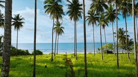 Aerial view of Long Beach with walking women, San Vicente, Palawan, Philippines. - Powered by Shutterstock - Get 15% off with code: PIKWIZARD15