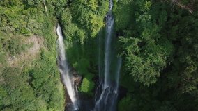 Aerial view of Waterfall in green rainforest