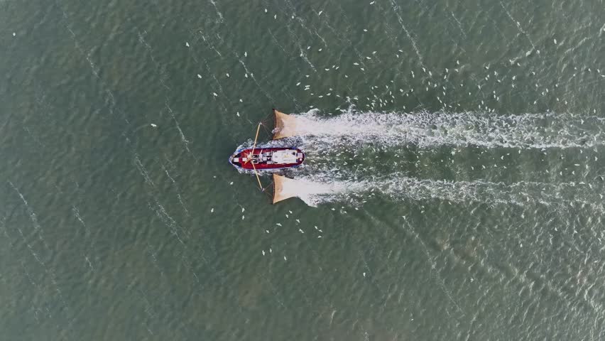 Drone topdown shot of a Fishers boat dragging the nets thru the water. Birds circling the boat looking for something to eat.