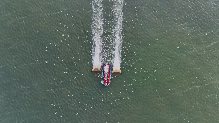 Drone topdown shot of a Fishers boat dragging the nets thru the water. Birds circling the boat looking for something to eat.