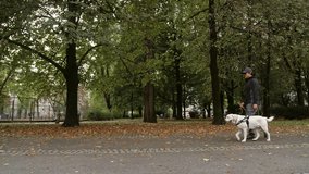 Blind man safely walking with a guide dog assistance through the park on autumn day, side view. City life and visually impaired people concepts. - Powered by Shutterstock - Get 15% off with code: PIKWIZARD15