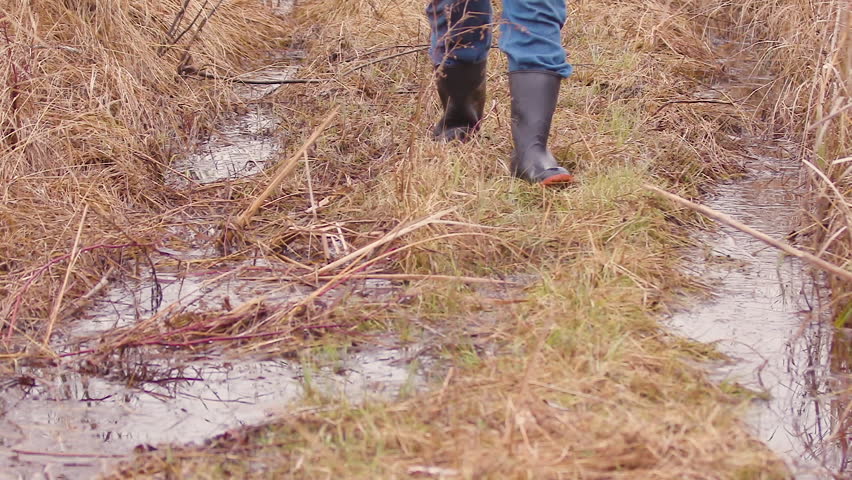 Rain boots walking on wet grass in wetlands in slow motion 120 FPS.