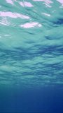 Vertical video, Underwater view of waves blue water surface, Slow motion. Small waves on surface of Ocean. Natural blue water background. Beautiful clear blue water with wave, underwater shot