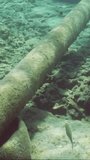 Vertical video, Close-up of undersea pipeline on rocky reef in Mediterranean Sea, Greece. Camera moving forwards along the pipe, Slow motion