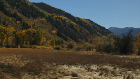 Roaring Fork River Valley North Star Nature Preserve Independence Pass Devils punchbowl Colorado summer fall autumn aerial drone cinematic Aspen Snowmass Ashcroft bluesky meadows forward slow motion : vidéo de stock
