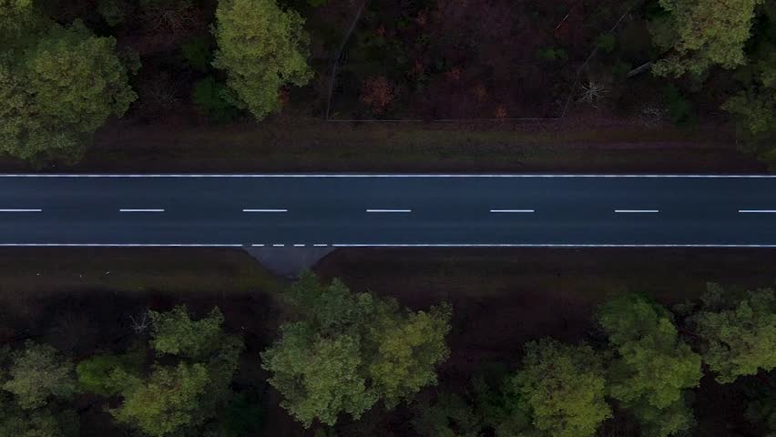 Aerial vertical trucking shot over the asphalt road in the dark forest - horror, dark scenery concept Royalty-Free Stock Footage #3443990701