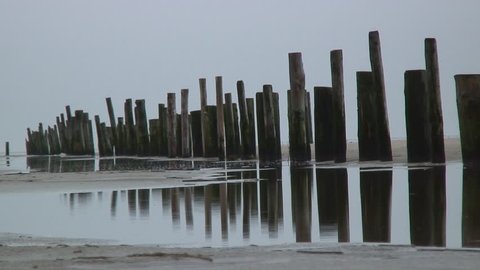 Wooden stakes in the Wadden