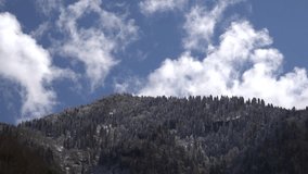 The first snow of winter has fallen on the mountain covered with mixed pine and broadleaf forest, and a time lapse video of the sunny sky.