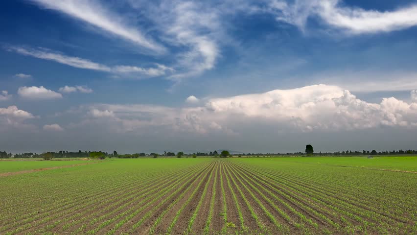 Time lapse video of partly cloudy blue sky over flat plain farmland and cultivated fields. Royalty-Free Stock Footage #3444166039