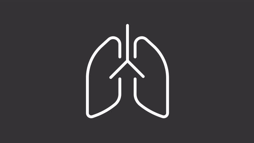 Animated lungs white icon. Respiratory system line animation. Human anatomy. Pulmonary system healthcare. Isolated illustration on dark background. Transition alpha video. Motion graphic