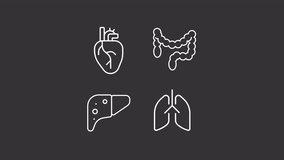 Animated internal organs white icons. Body parts line animation library. Human anatomy. Digestive system. Isolated illustrations on dark background. Transition alpha. HD video. Icon pack