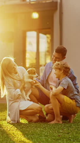 Smiling Father, Mother and Son Pet and Play with Smooth Jack Russell Retriever Dog. Sun Shines on Idyllic Happy Family with Loyal Pedigree Dog have Fun at the Idyllic Suburban House. Vertical Screen Royalty-Free Stock Footage #3444198401