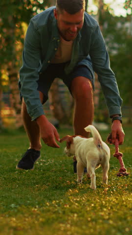 Man Plays with His Jack Russell Terrier Dog Outdoors. He Pets and Teases His Puppy with His Favourite Toy. Idyllic Summer House. Golden Hour Down Time. Vertical Screen