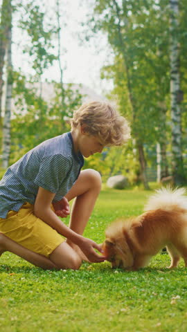 Boy Playing with Little Pomeranian Dog In the Backyard. He Feeds Snacks and Pets His Small Best Friend Funny Fluffy Dog. Sunny Summer Day in Suburb House. Ground View Handheld Shot. Vertical Screen