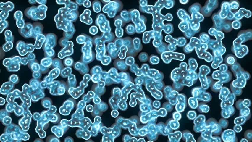 high definition microbiology intro, cells and bacteria under microscope, popular scientific background   (Hd, seamless loop)