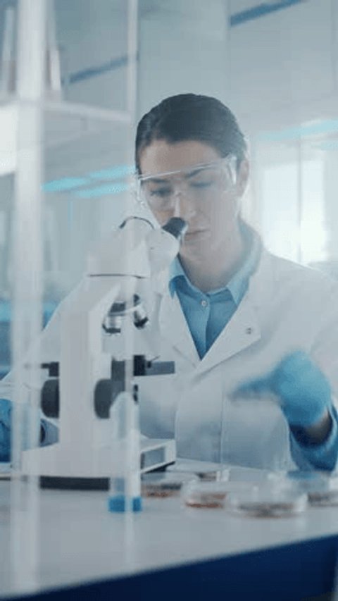 Vertical Video. Medical Development Laboratory: Female Scientist Looking Under Microscope, Analyzing Sample. Specialists Working on Medicine, Biotechnology Research in Advanced Lab. Side View Arkistovideo