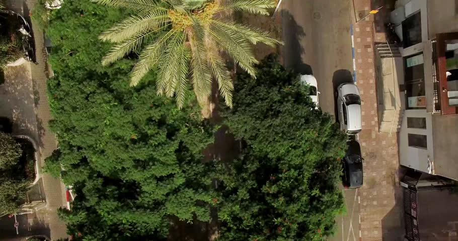 Tel Aviv - Rothschild Boulevard