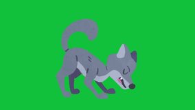 fox animated 2d cartoon green screen video