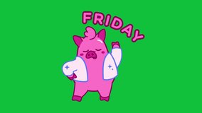 hello friday pig animation green screen video