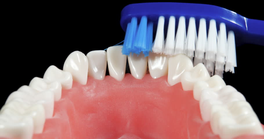Patient at a Dentist Appointment in a Dental Clinic. Inside View of Brushing Teeth Tutorial with Blue Toothbrush. Cleaning Mouth Morning Healthcare Routine. Dental Care and Examined Healthy Teeth
