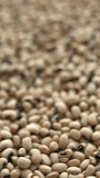 Black-eye beans background texture close-up view. Selective focus, table spin, seamless loop. Vertical video.