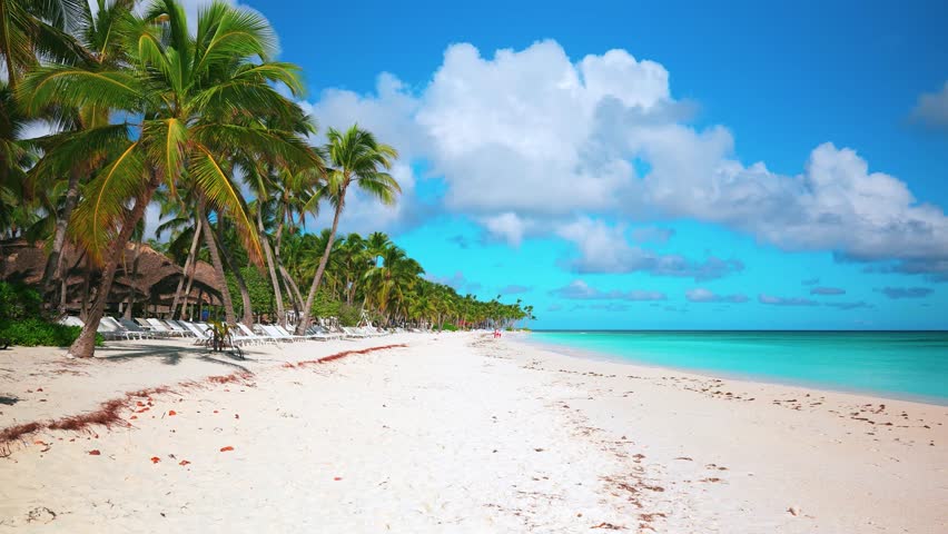 Landscape of a Bahamian beach with white sand and lush palm trees. Background of the azure waters of the Caribbean Sea. Sunny coast with coconut palms on an exotic island paradise.