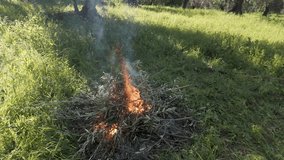 Burn the branches after pruning the olive trees. Controlled fire and smoke in the field during a sunny day. Carbon dioxide due to smoke from burnt heat. Country life conceptual video