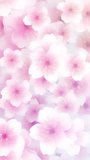 Vertical video - beautiful Springtime floral nature motion background animation with gently moving pink and white cherry blossom flowers in full bloom in the style of a pastel painting.