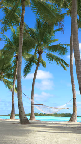 VERTICAL SLOW MOTION: Gentle summer breeze blowing along the exotic coast in Thailand swinging the rope hammock under the palm trees. Cinematic shot of empty hammock on the tropical beach in Maldives.