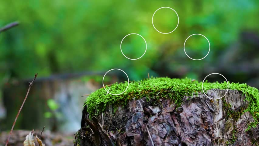 Environmental technology concept , green energy innovations, green technology, Green nature background Reduce CO2 emission concept. GROWHT UP ARROWS Digital icons. 4K VIDEO