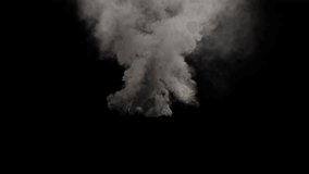 Dynamic Smoke Plume with Alpha Channel - Powered by Shutterstock - Get 15% off with code: PIKWIZARD15