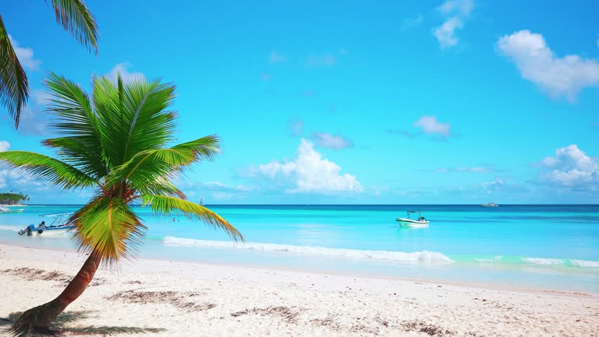 Coconut palms on a white sandy beach in the coastal sea, Saona island, Dominican Republic. Relaxed lifestyle on white sand background, summer travel concept. Beach and beautiful Caribbean Sea. Royalty-Free Stock Footage #3444928129
