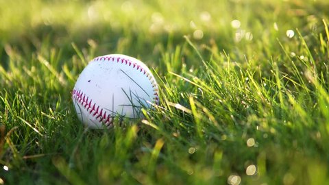Baseball Picked Up By Running Fielder On Grass With Shadow In 4K Summer
